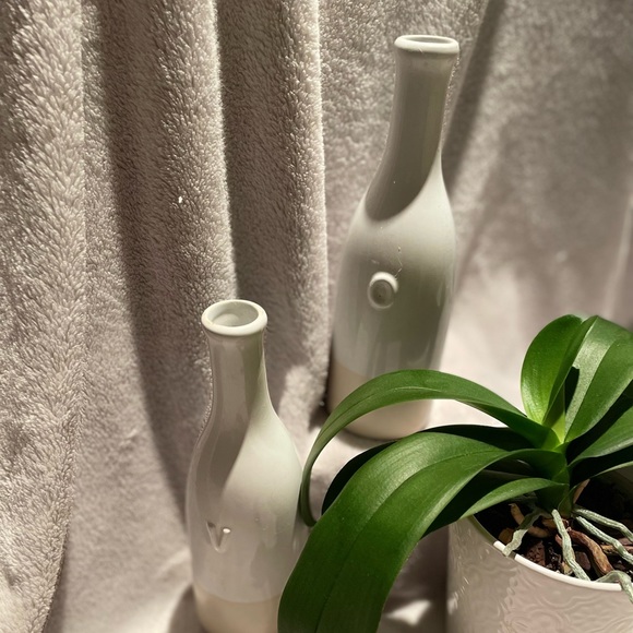 ‼️3/$33‼️ ✨🍶Decorative bottles🍶✨ - Picture 2 of 5